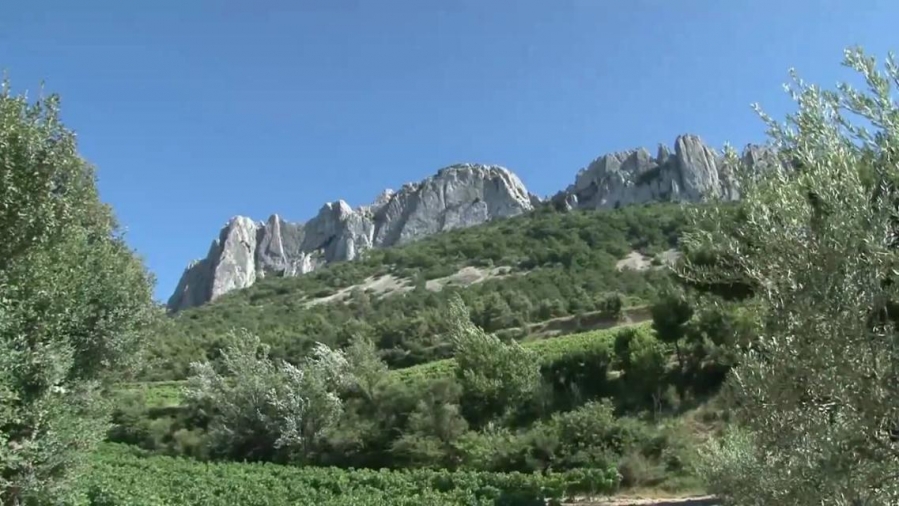 2015-09_06_montmirail