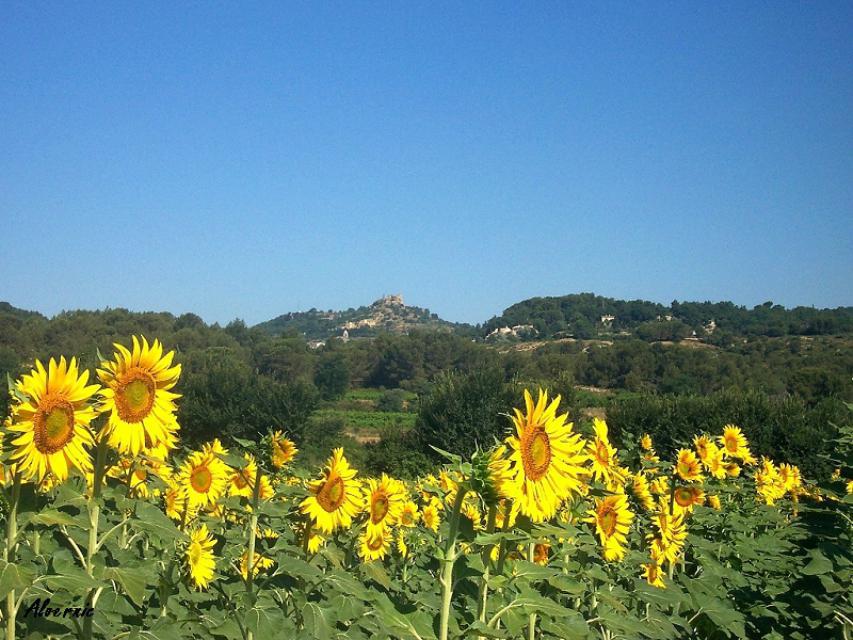 13 l estaque 2