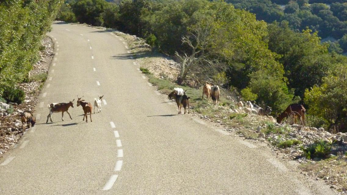 2015 10 10 11 54 ardeche LL 001