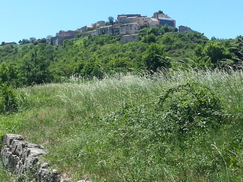 2015 05 16 sortie vaucluse MD 012