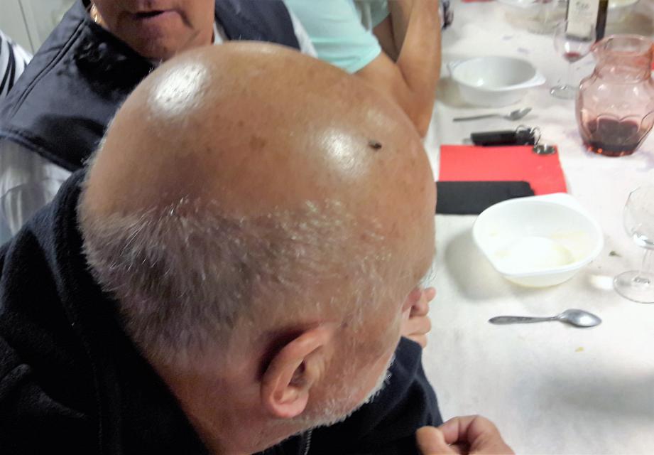 2016 07 23 15 22 Jabron MD