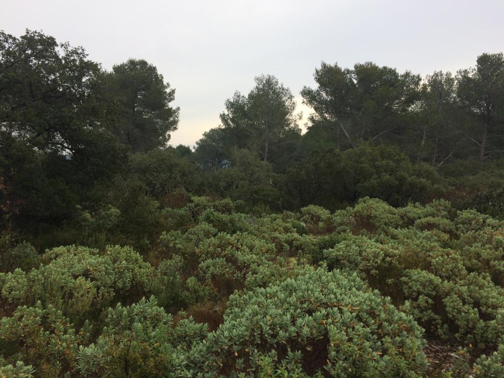 2021 02 04 10 56 V3C VTT Miramas iPhone 5s 03